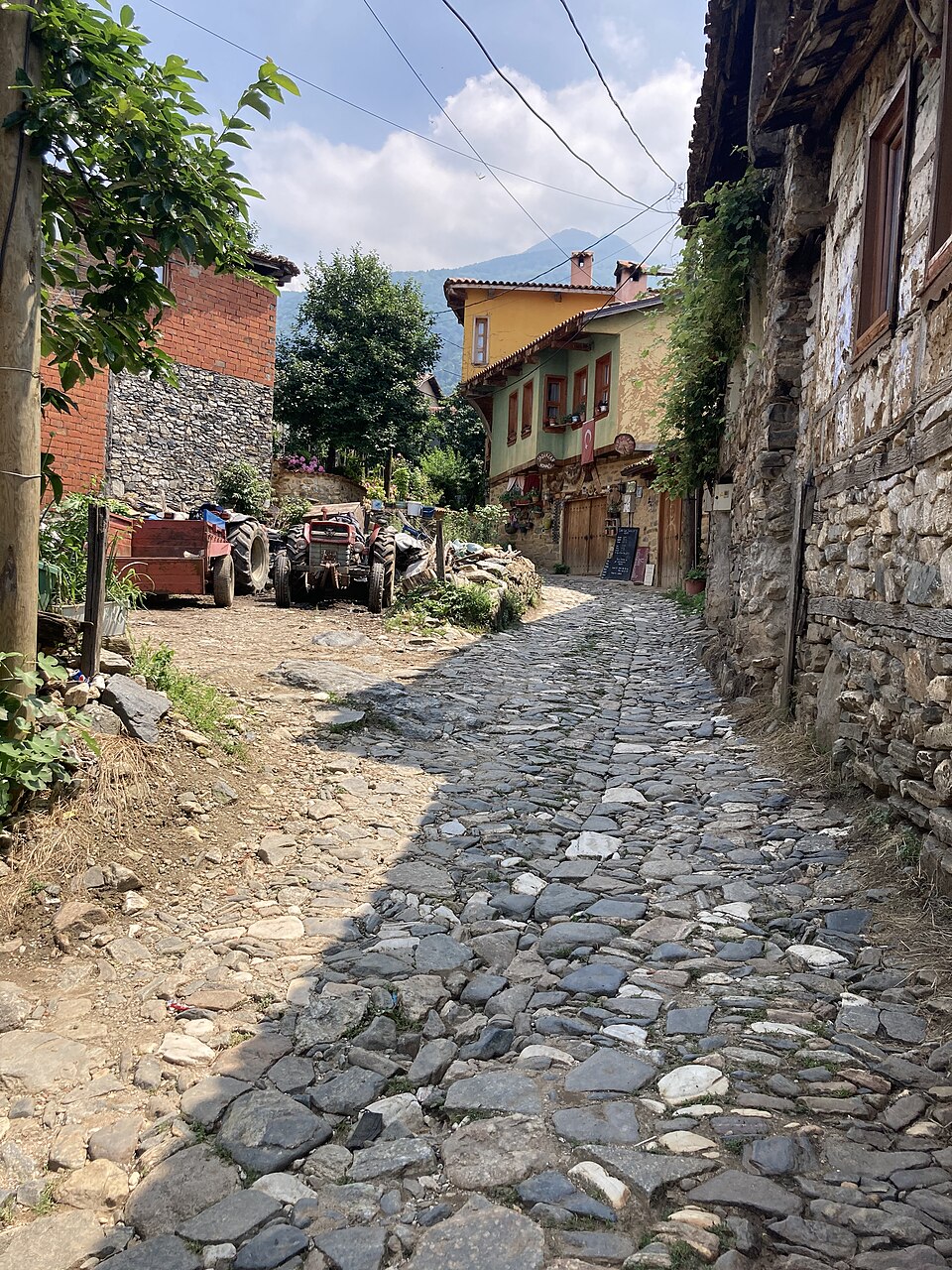 Cumalıkızık’ın renkli tarihî evleri ve taş döşeli sokağı